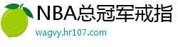 NBA总冠军戒指